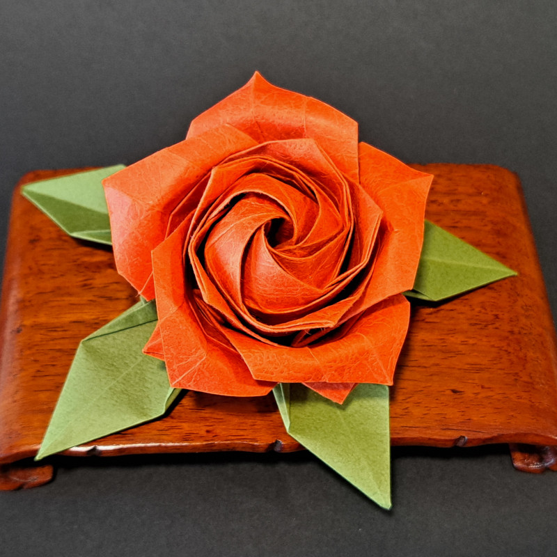 Rose à cinq pétales créée par Naomiki Sato